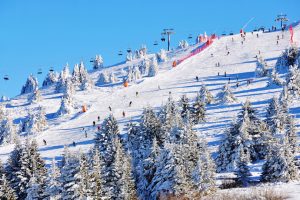 Kopaonik National Park